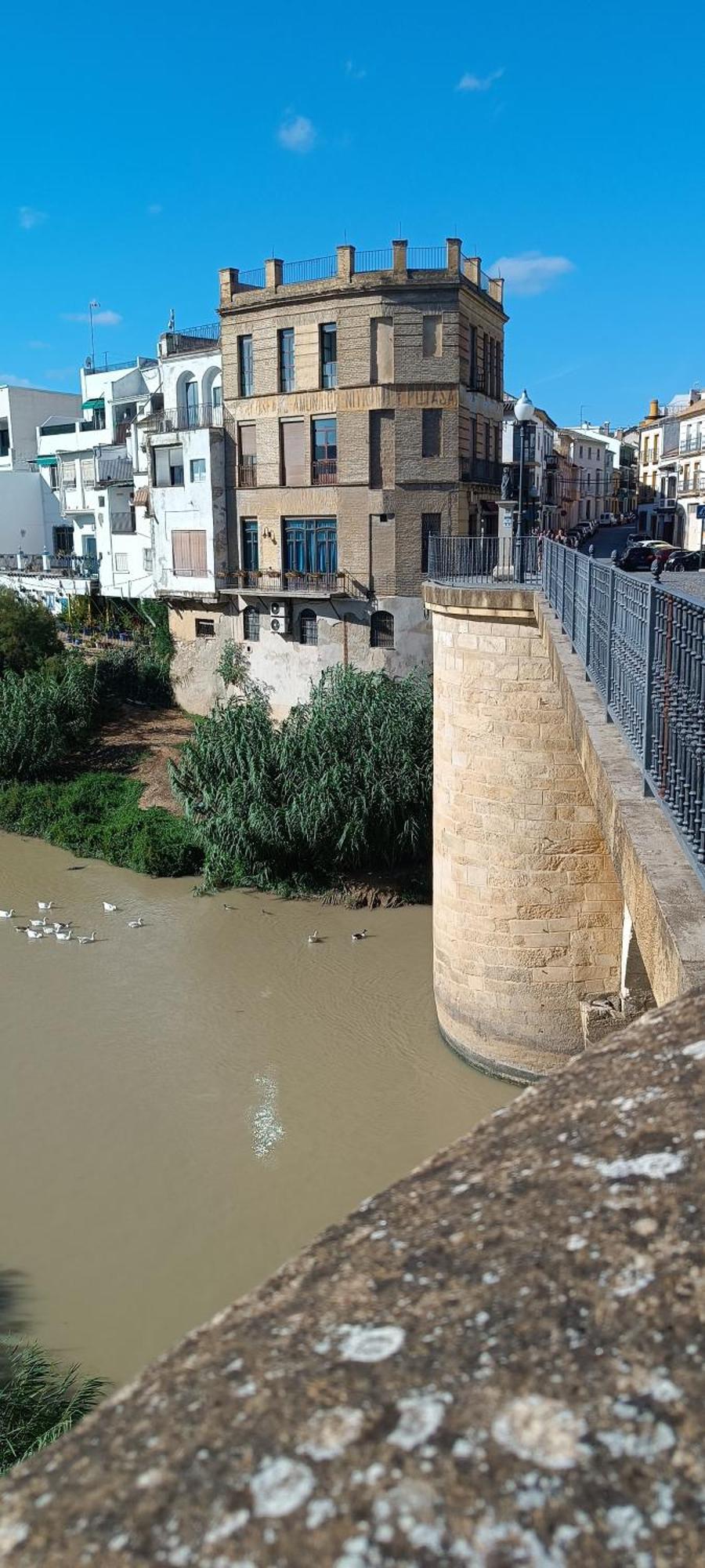 El Patio De La Cris Apartment Puente Genil Luaran gambar