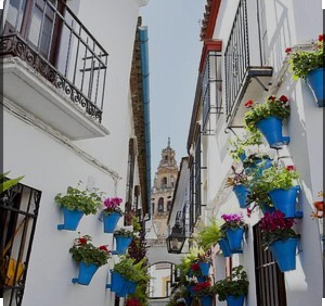 El Patio De La Cris Apartment Puente Genil Luaran gambar